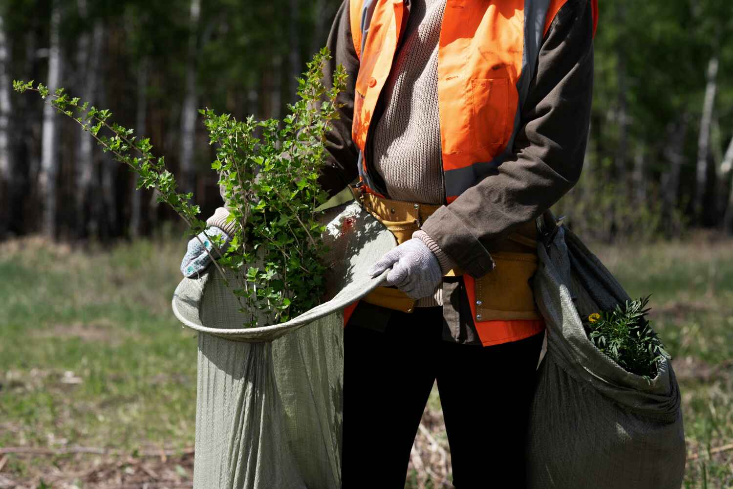 West Park, FL Tree Service Company